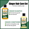 Ginger Hair Shampoo and Conditioner